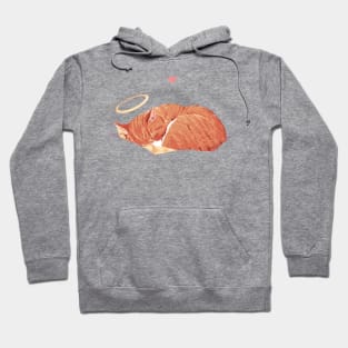 Orange tabby Hoodie